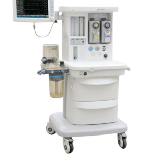 Boaray 600 – PRUNUS