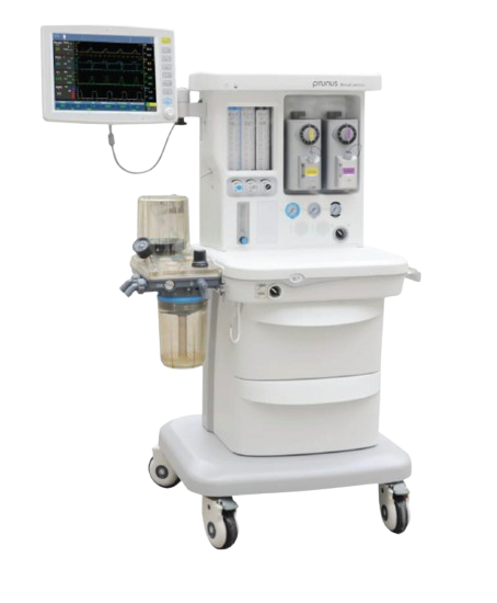 Boaray 600 – PRUNUS