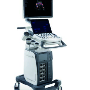Ecógrafo P15